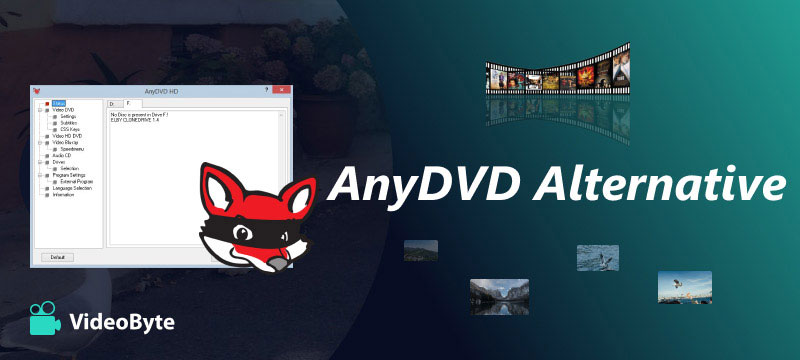 AnyDVD Alternative
